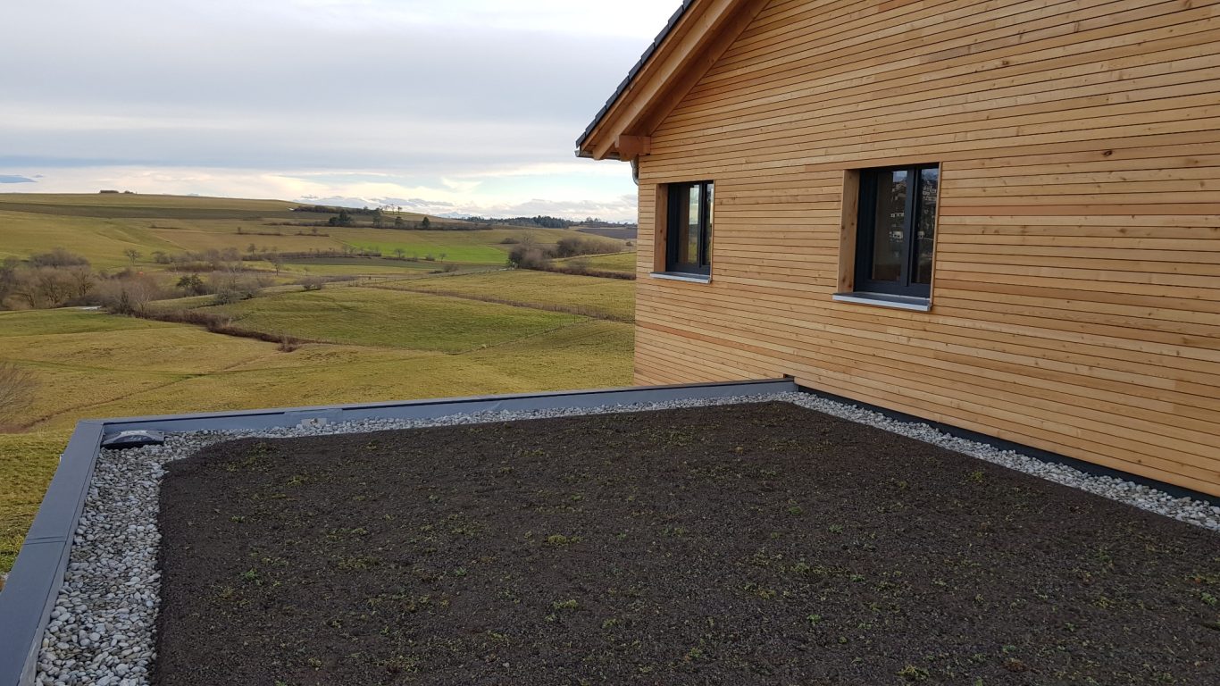 Gründach auf Garage